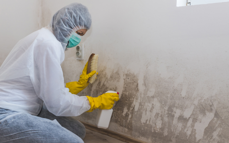 A person in protective clothing and yellow gloves scrubs mold on a wall with a brush and spray bottle in a room, demonstrating the thorough cleaning methods used in professional Restoration Services.