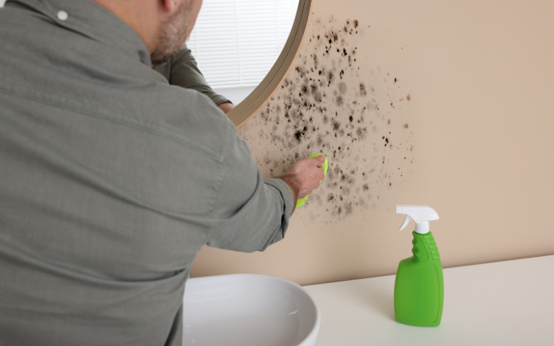 A person sprays and scrubs black mold spots from a beige bathroom wall near a round mirror and a white sink, demonstrating the meticulous care involved in property restoration.