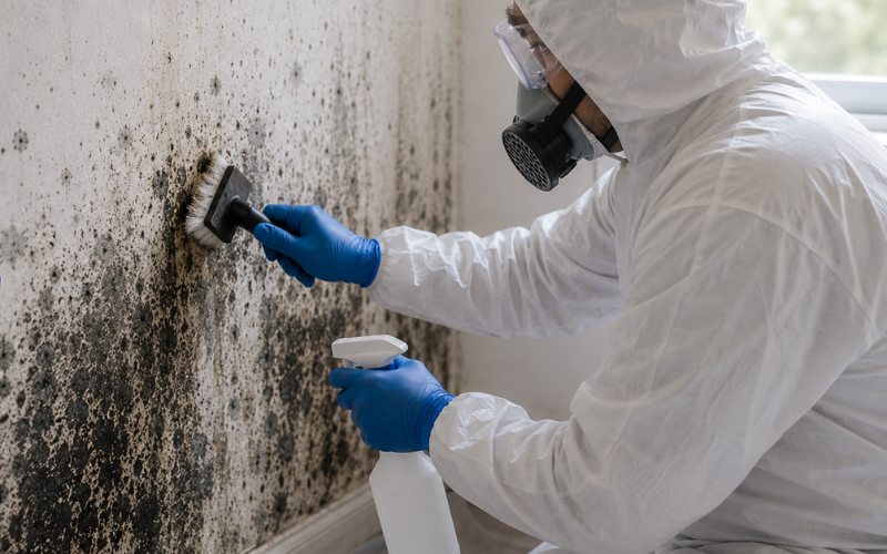 Person in protective gear scrubs mold from a wall with a brush, holding a spray bottle, in a room with heavy mold infestation.