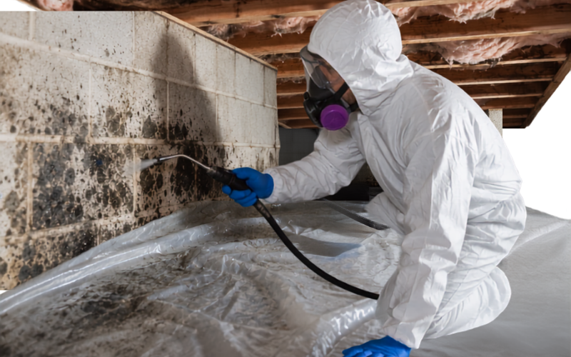 Person in protective gear sprays a moldy wall in a basement or crawl space with chemicals; insulation and wooden beams are visible above.
