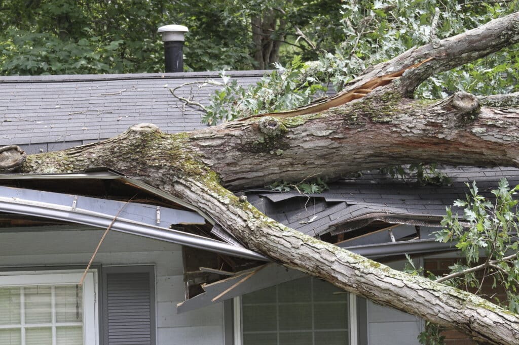 A large tree has fallen onto the roof of a house, causing significant damage to the roof and overhang.