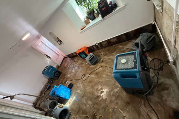 A basement with exposed walls and a concrete floor is drying out with multiple dehumidifiers and air movers after water damage. Cords and equipment are placed around the room as part of the professional flood cleanup and water restoration process.