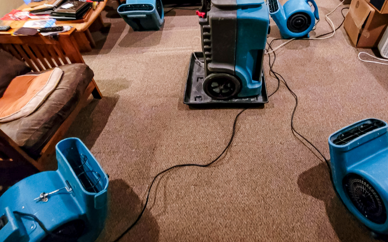 Room with several blue industrial air movers and a dehumidifier from Restoration Services drying wet carpet; furniture and cords are also visible.