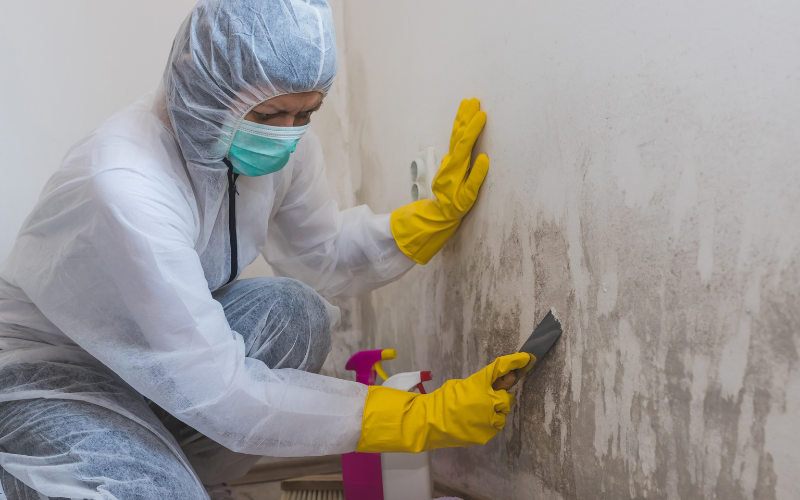 Person in protective suit and gloves uses a scraper to clean mold from a wall; cleaning supplies are on the floor nearby.