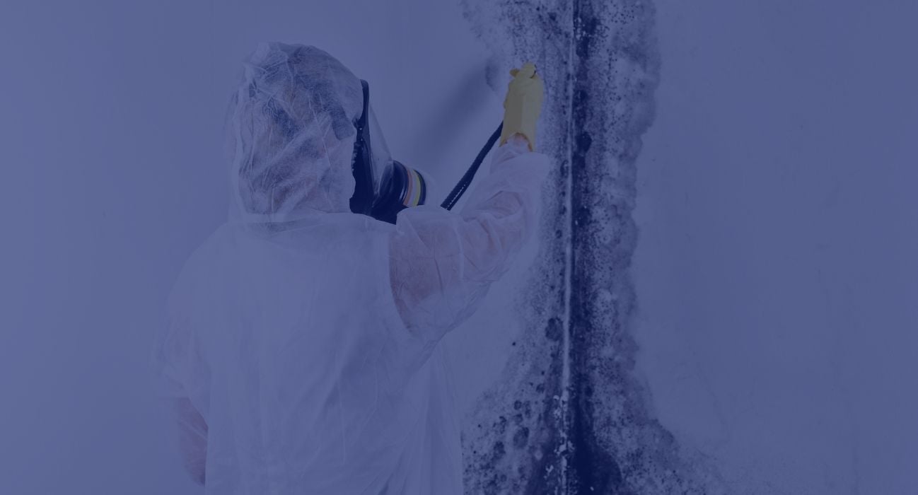 A person in protective gear and a mask cleans black mold from a white wall using a tool or brush.