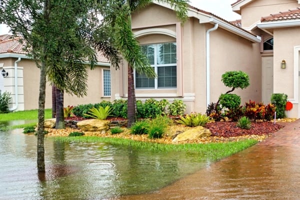 Front yard of a suburban house is partially flooded, with water pooling on the lawn and driveway near landscaped plants and trees.